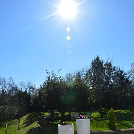 Tenuta Terra Tefra Villa Conca della Campania Ngoại thất bức ảnh
