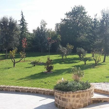 Tenuta Terra Tefra Villa Conca della Campania Ngoại thất bức ảnh