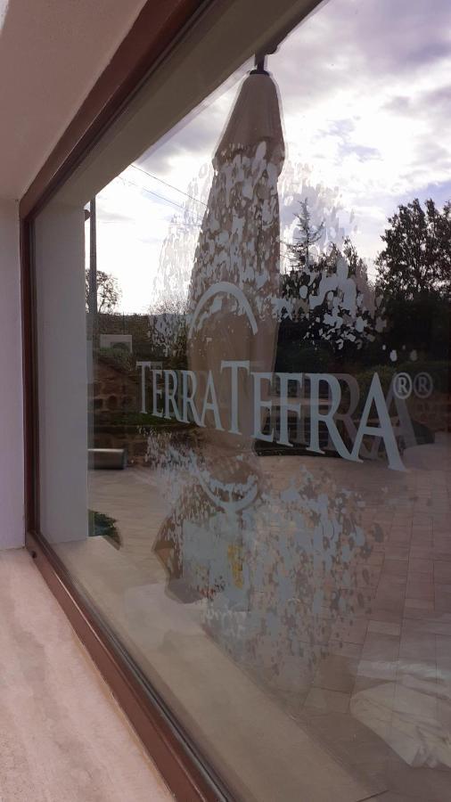 Tenuta Terra Tefra Villa Conca della Campania Ngoại thất bức ảnh