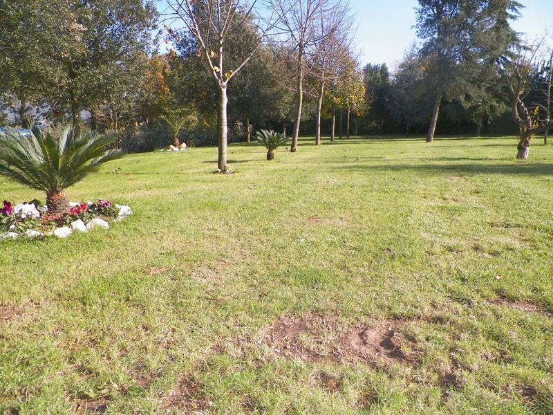 Tenuta Terra Tefra Villa Conca della Campania Ngoại thất bức ảnh