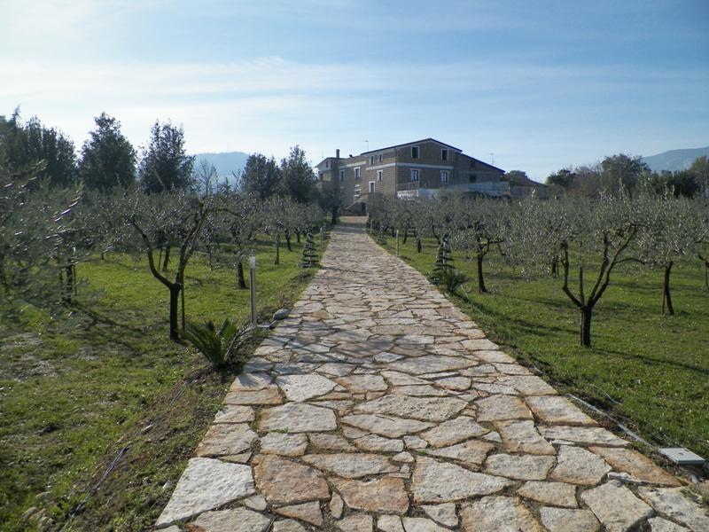 Tenuta Terra Tefra Villa Conca della Campania Ngoại thất bức ảnh