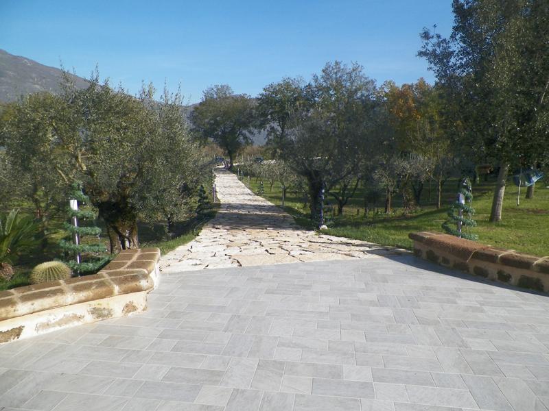 Tenuta Terra Tefra Villa Conca della Campania Ngoại thất bức ảnh