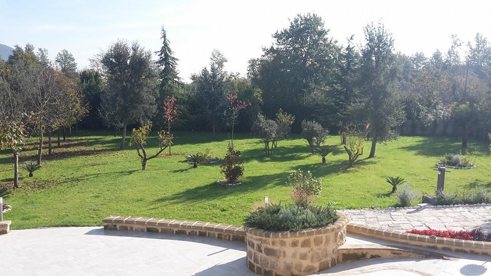Tenuta Terra Tefra Villa Conca della Campania Ngoại thất bức ảnh